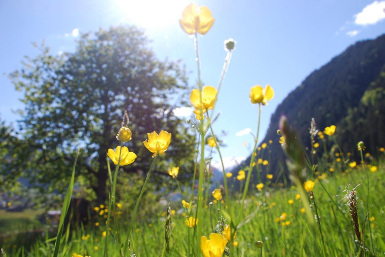 Apartmán Haus Galgenul Sankt Gallenkirch Exteriér fotografie